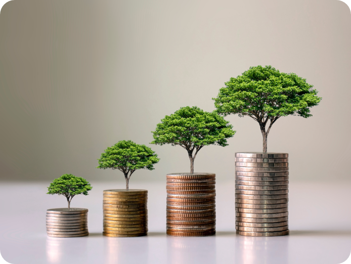 Stack of coins in ascending order with tree on each